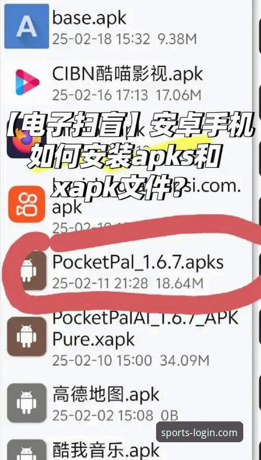 B体育安卓APP下载攻略 B体育在线平台安卓APP下载实用指南:从安装到注册的完整攻略