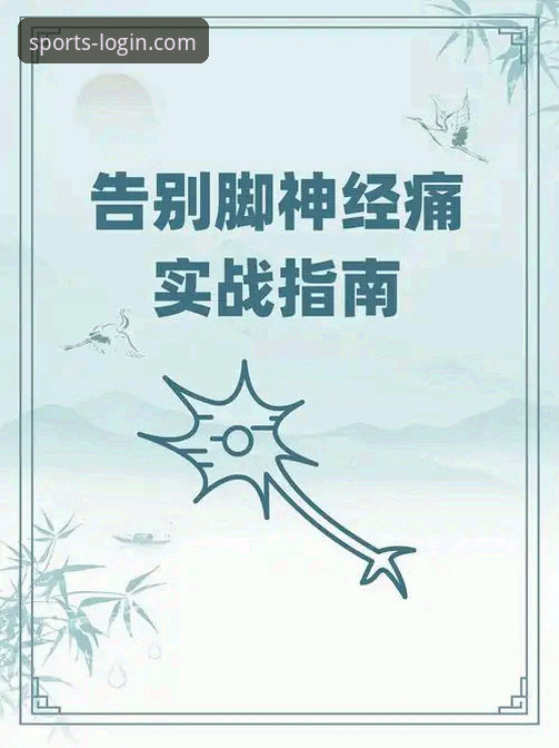 B体育在线平台快速登录全面解析：从入门到精通的实战指南