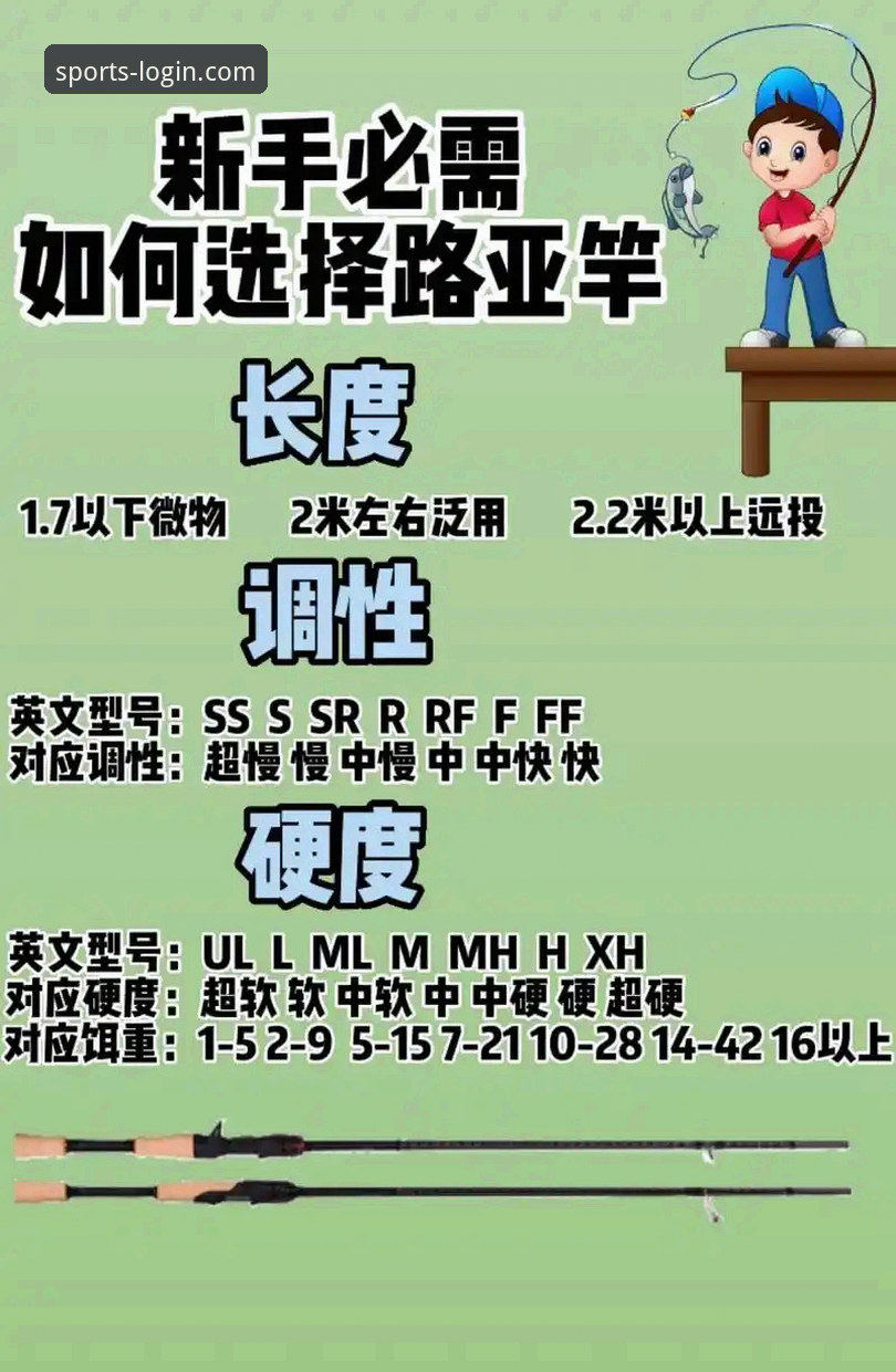 B体育移动端服务对比与使用完整指南——新手如何轻松选择入口与APP版本